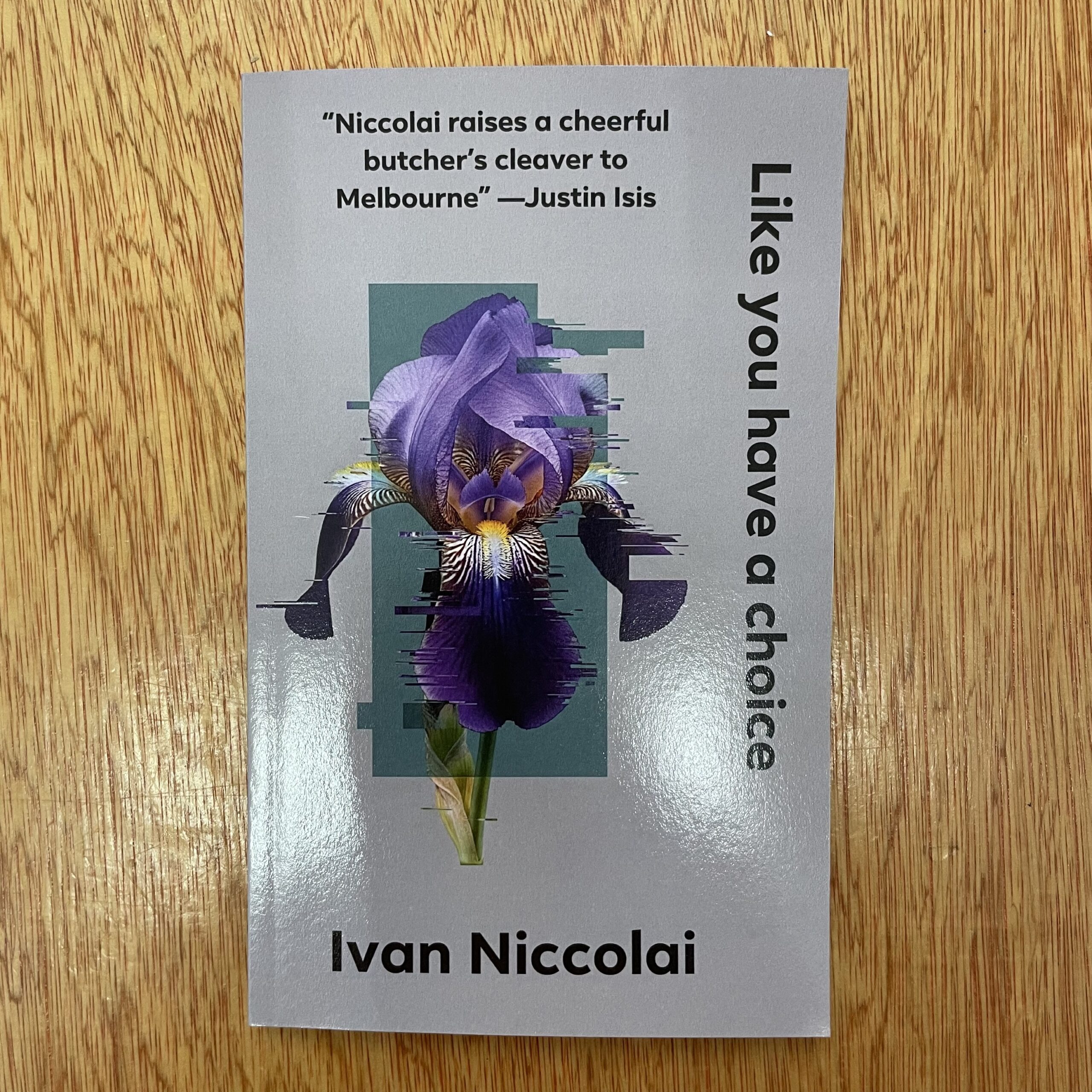Like You Have a Choice by Ivan Niccolai